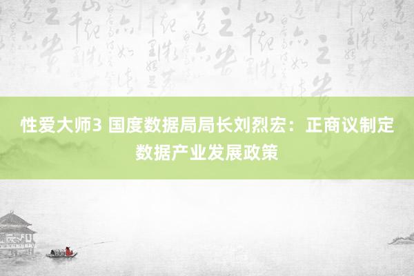 性爱大师3 国度数据局局长刘烈宏：正商议制定数据产业发展政策