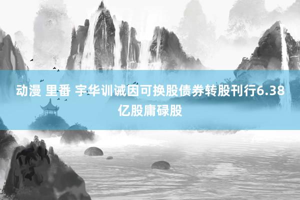 动漫 里番 宇华训诫因可换股债券转股刊行6.38亿股庸碌股